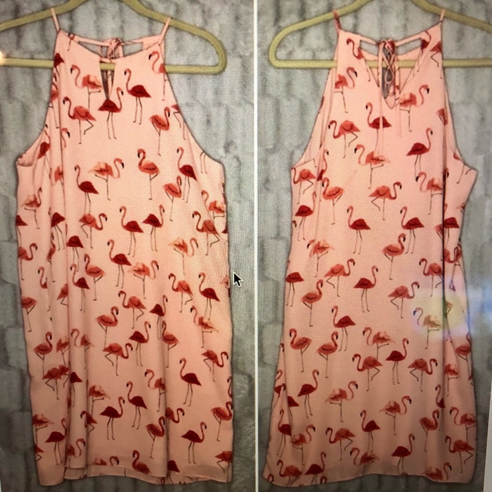Finn & Grace Flamingo Print Pink Mini Shift Dress